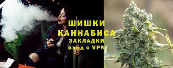 тгк Гусев