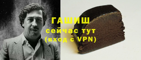 тгк Гусев