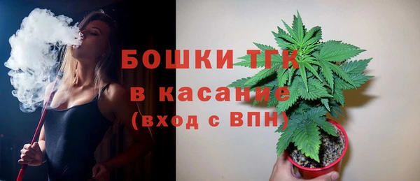 тгк Гусев