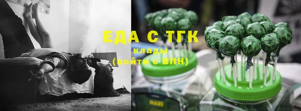 тгк Гусев