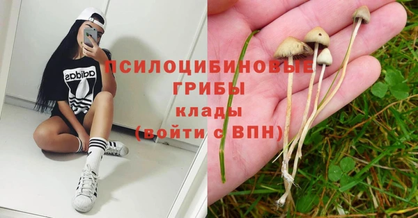бутик Гусь-Хрустальный