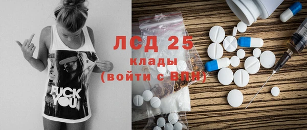 тгк Гусев