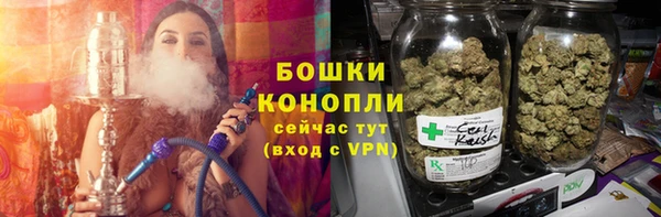 тгк Гусев