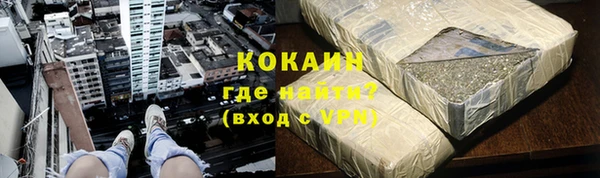 тгк Гусев