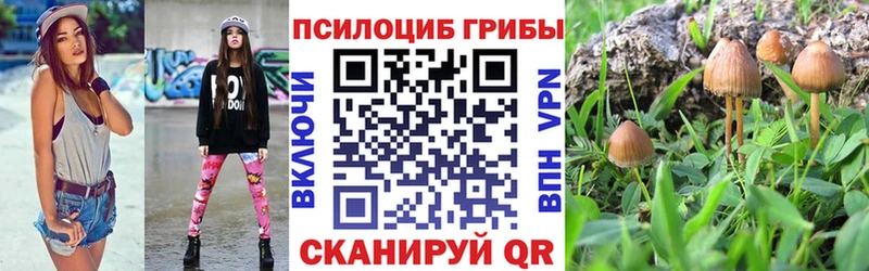 Псилоцибиновые грибы GOLDEN TEACHER  Элиста 
