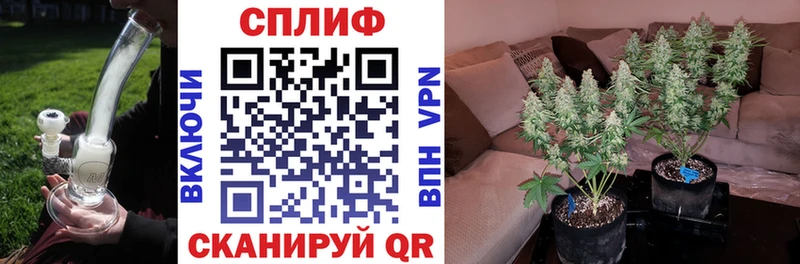 МАРИХУАНА OG Kush  гидра ссылка  Элиста 